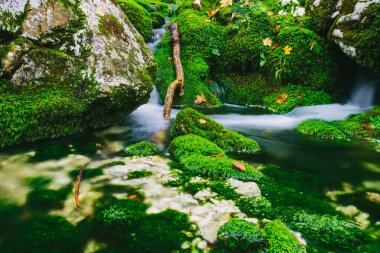Yosunlu kayalar ve kristal berraklığında su ile Dağ deresi detay