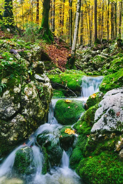 Mountain creek detail with mossy rocks and crystal clear water — Stock Photo, Image