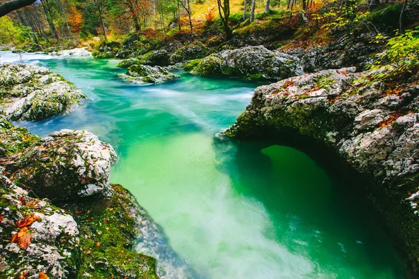 Amazing view of the river Mostnica — Stock Photo, Image