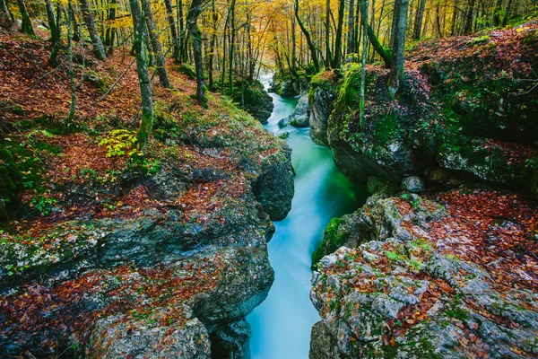 Fantastic view of the canyon Mostnica — Stock Photo, Image