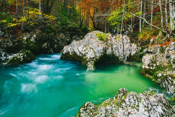 Vue imprenable sur la rivière Mostnica — Photo