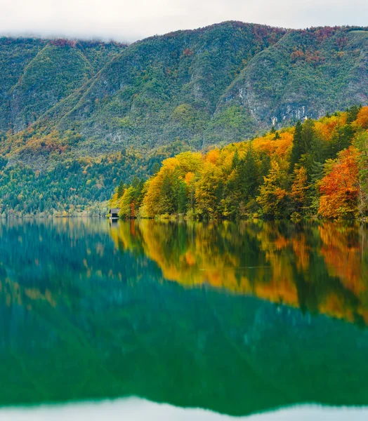 Impresionante paisaje de montañas, bosques y lago con reflejos coloridos —  Fotos de Stock