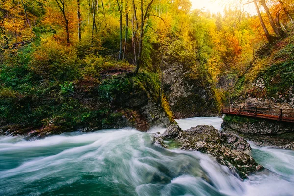 The famous Vintgar gorge Canyon with wooden pats,Bled,Triglav,Slovenia,Europe — Stock Photo, Image