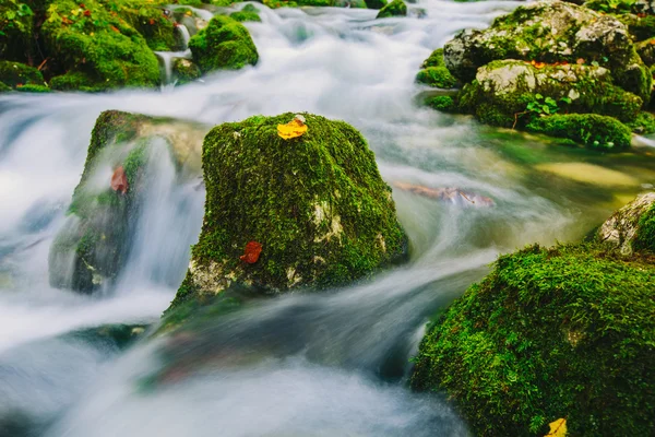 Горный ручей с мшистыми скалами и кристально чистой водой — стоковое фото