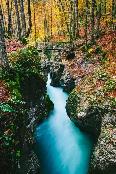 Fantastic view of the canyon Mostnica — Stock Photo, Image