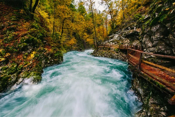 Slavné soutěsce Vintgar Canyon s dřevěnými hrudky, Bled, Triglav, Slovinsko, Evropa — Stock fotografie