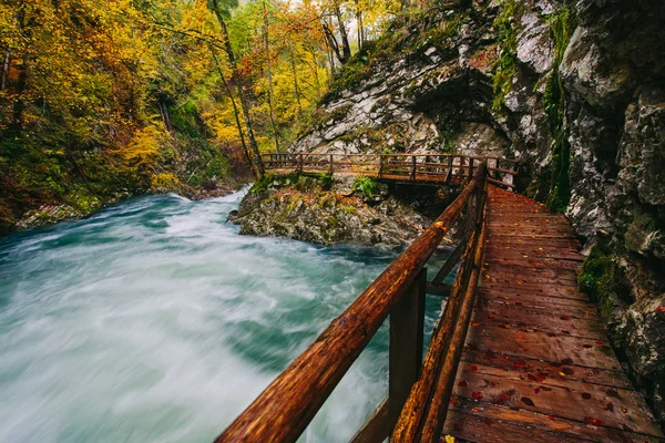 O famoso desfiladeiro do desfiladeiro de Vintgar com pats de madeira, Bled, Triglav, Eslovênia, Europa — Fotografia de Stock