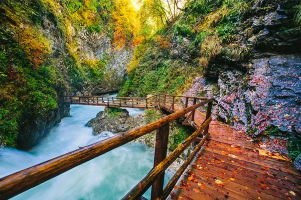 A híres Vintgar gorge kanyonban fa pats, Bled, Triglav, Szlovénia, Európa — Stock Fotó