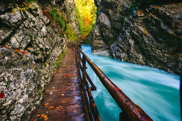 Slavné soutěsce Vintgar Canyon s dřevěnými hrudky, Bled, Triglav, Slovinsko, Evropa — Stock fotografie