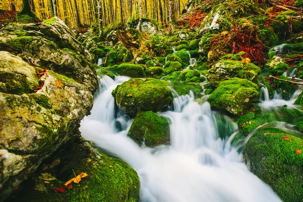 Détail du ruisseau de montagne avec des roches moussues et de l'eau cristalline — Photo