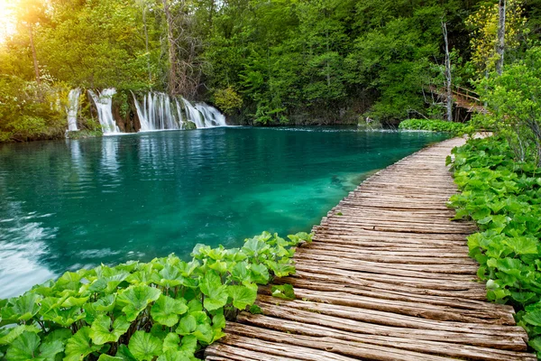 Güzel görünümü yolu Plitvice Gölleri Milli Parkı'nda ve şelaleler.