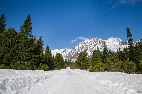 Vista deslumbrante das montanhas nevadas nas montanhas Tatra — Fotografia de Stock