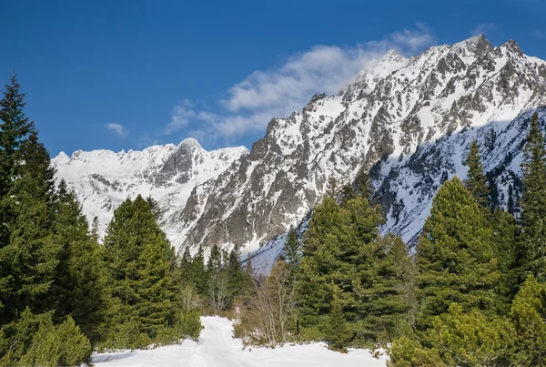 Przepiękne widoki na ośnieżone góry w Tatrach — Zdjęcie stockowe
