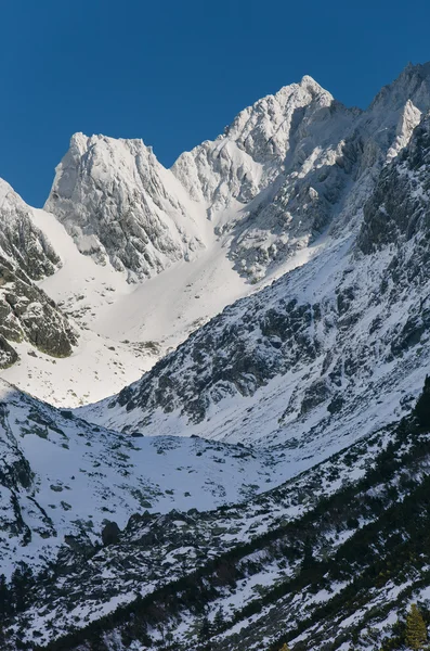 Adembenemend uitzicht op besneeuwde bergen op het Tatra gebergte — Stockfoto