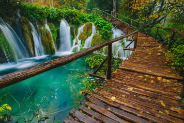 Kristal berraklığında su yolu ile derin orman akarsu. Plitvice Gölleri, Hırvatistan