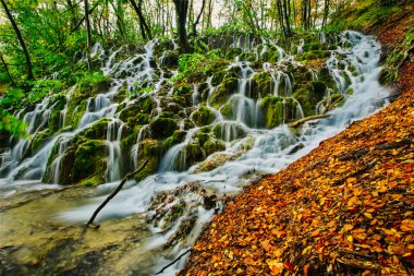 Majestic view of a deep forest waterfall on a sunny autumnal day in Plitvice National Park, Croatia clipart