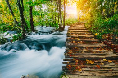 Turkuaz su ve yolu Plitvice Milli Parkı, Hırvatistan ile derin orman akarsu