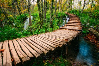Güzel ahşap köprü yolu bir turkuaz renkli su dere Plitvice, Hırvatistan, Unesco Dünya Mirası üzerinde derin ormana