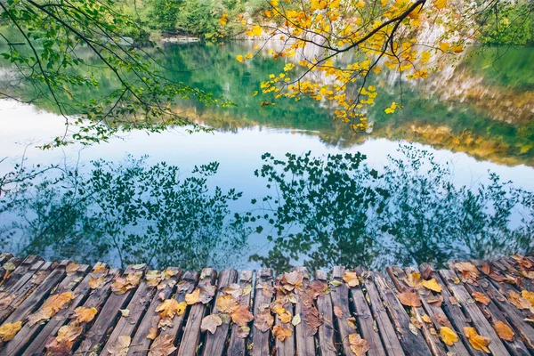 Lago com água cristalina ao sol. Lagos de Plitvice, Croácia — Fotografia de Stock