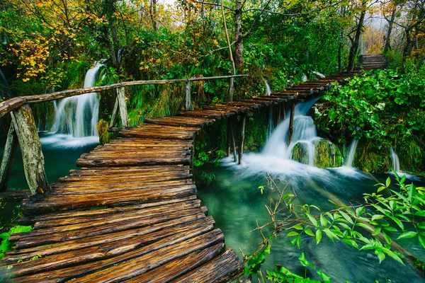Kristal berraklığında su ahşap pahway ile derin orman akarsu. Plitvice Gölleri, Hırvatistan UNESCO Dünya Miras Listesi