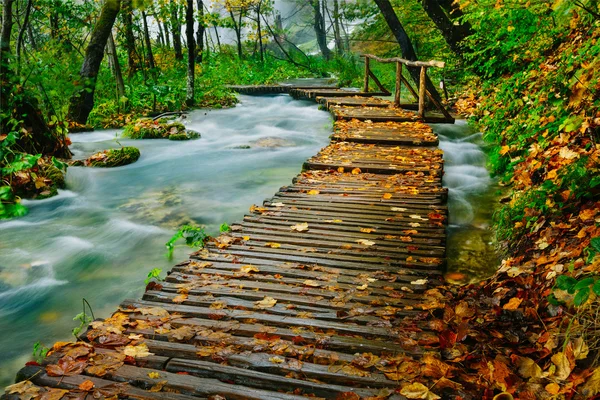 Caminho de madeira da floresta profunda sobre o riacho de água cristalina no Parque Nacional de Plitvice — Fotografia de Stock