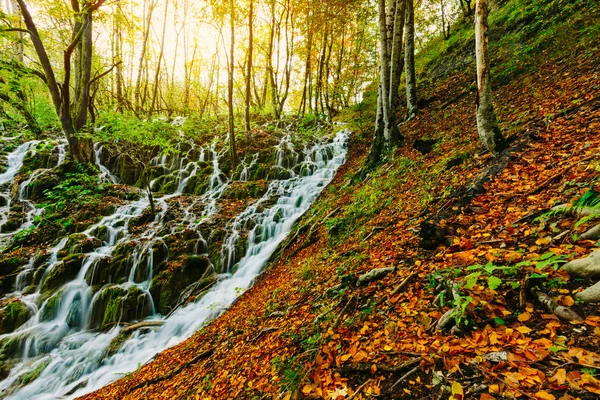 Majestic view of a deep forest waterfall on a sunny autumnal day in Plitvice National Park, Croatia — Stock Photo, Image