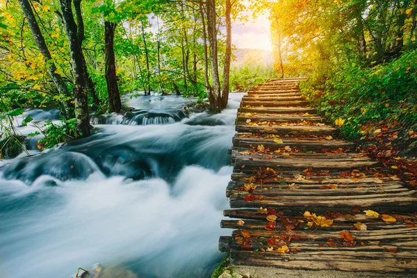 Fluxo de floresta profunda com água azul-turquesa e caminho no parque nacional de Plitvice, Croácia — Fotografia de Stock