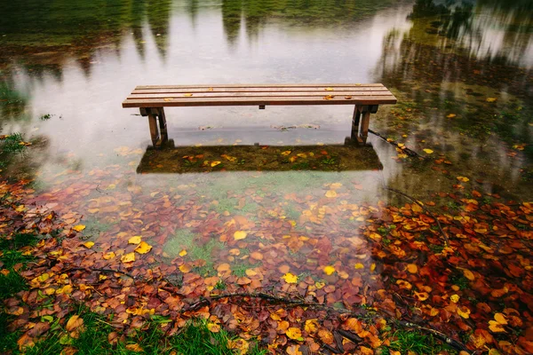 Bench on the bank of a lake in Autumn — Stock Photo, Image