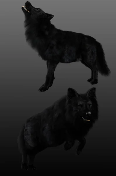 Fantasy Dire Wolves Action Poses Cgi — 스톡 사진
