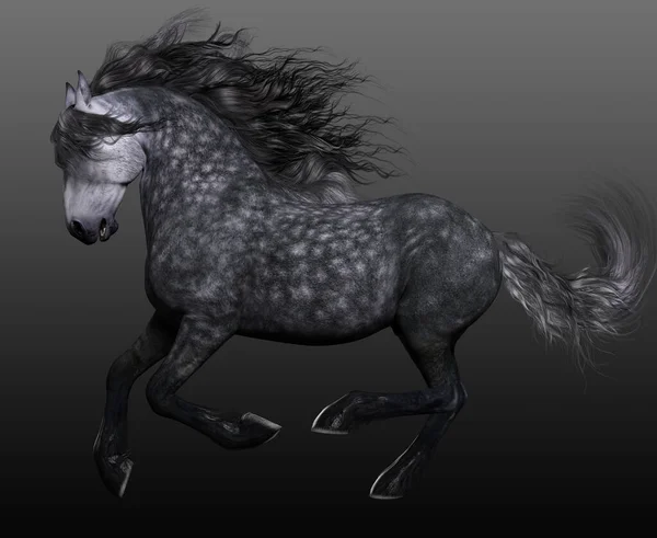 Cgi Dapple Gray Horse Action Pose — Stock fotografie