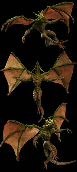 Fantasy Flying Dragon Multiple Poses — Stock fotografie