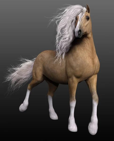 Cgi Palomino Horse Baroque Spanish Horse — стоковое фото