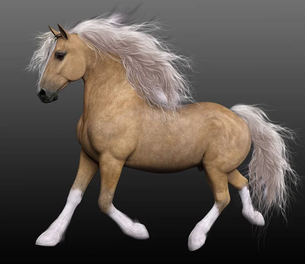 Cgi Palomino Horse Baroque Spanish Horse — стоковое фото