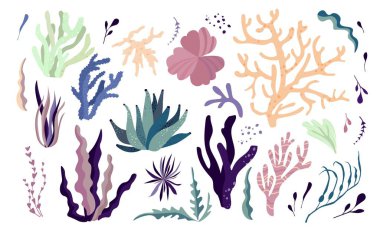 Su altı dünyası sakinleri, bitki örtüsü ve fauna elementleri. Yosun, mercan resifi, yosun. Vektör çizgi film illüstrasyonu.