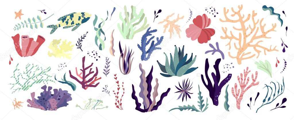 Underwater sea world dwellers, flora and fauna elements. Algae, coral reef, kelp. Vector cartoon illustration.