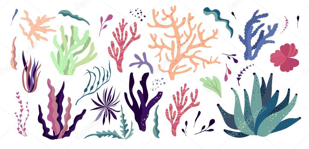 Underwater sea world dwellers, flora and fauna elements. Algae, coral reef, kelp. Vector cartoon illustration.