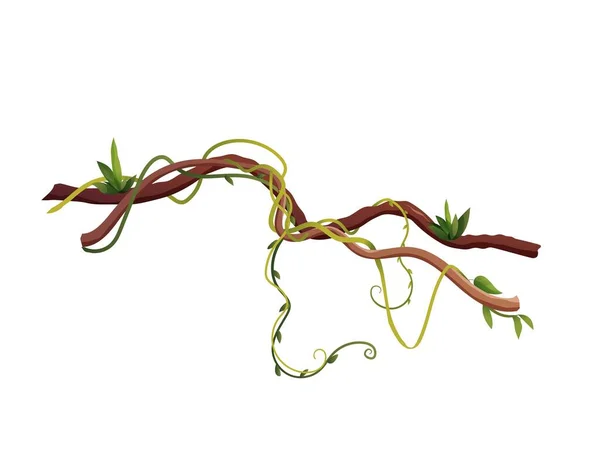 Liana vagy szőlő kanyargós ágak rajzfilm vektor illusztráció. Dzsungel trópusi mászó növények. — Stock Vector