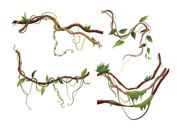 Liana o tralci di vite avvolgimento cartone animato vettoriale illustrazione. Giungla piante rampicanti tropicali. — Vettoriale Stock