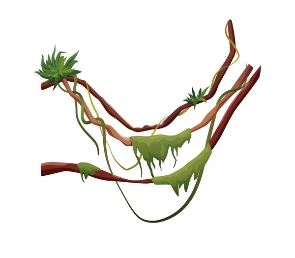 Liana eller vinstockar slingrande grenar tecknad vektor illustration. Djungeltropiska klätterväxter. — Stock vektor