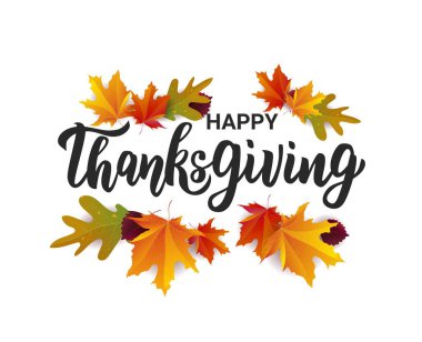 Şükran Günü el yazısı metnin kutlu olsun. Şükran Günü kutlaması için tebrik kartı. Vektör illüstrasyonu.