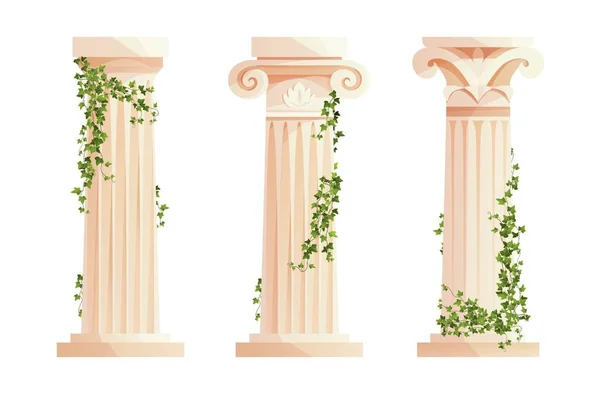 Starożytna grecka kolumna z bluszczowymi gałęziami wspinaczkowymi. Rzymski filar. Elementy projektu budynku i dekoracji. Ilustracja wektora kreskówki. — Wektor stockowy
