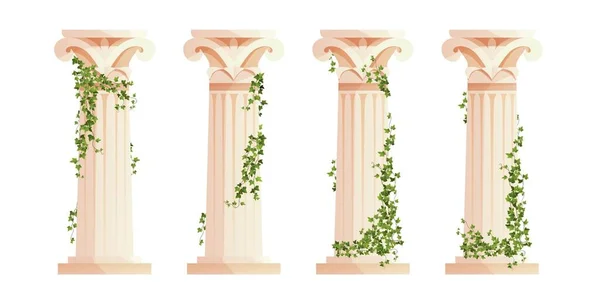 Ancient Greek column with ivy climbing branches. Roman pillar. Building design elements and decoration. Cartoon vector illustration. — Stock Vector