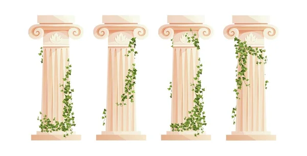 Ancient Greek column with ivy climbing branches. Roman pillar. Building design elements and decoration. Cartoon vector illustration. — Stock Vector