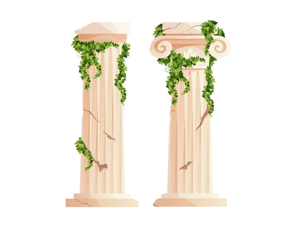 Ancient Greek column with ivy climbing branches. Roman pillar. Building design elements and decoration. Cartoon vector illustration. — Stock Vector