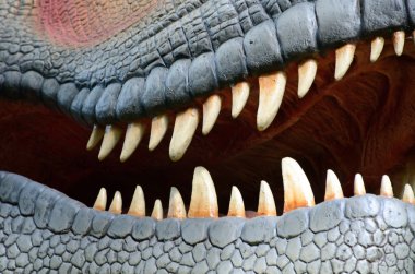 Dinozor ağız ve diş