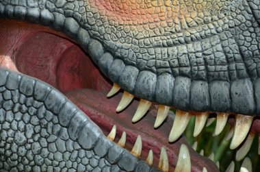 Yineleme dinozorun açık ağız 