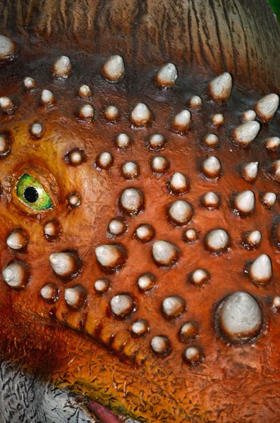 Auge in nobby Replik Dinosaurier Gesicht — Stockfoto