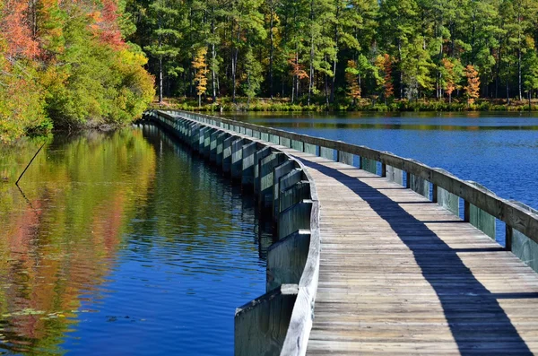 Boardwalk adlı Cheraw State Park