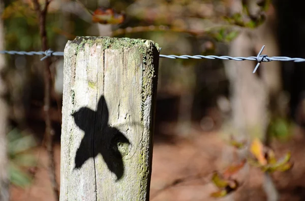 A shadow of a single leaf on a post — Stock Photo, Image