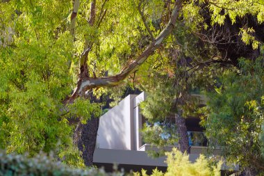 Yunanistan 'daki yemyeşil ağaçların arkasına kısmen gizlenmiş modern minimalist mimari, doğa dostu tasarımı ve tenha lüksü temsil ediyor.